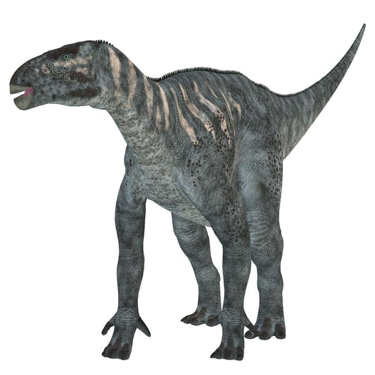 Iguanodon Dinosaur Wall Decal