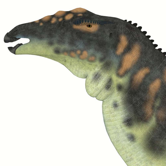 Ouranosaurus Dinosaur Head Wall Decal