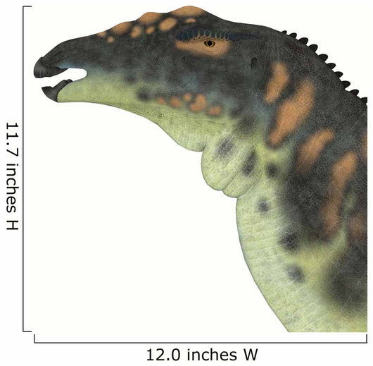 Ouranosaurus Dinosaur Head Wall Decal