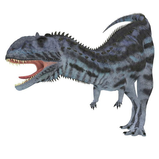 Majungasaurus Dinosaur White Wall Decal Design 2
