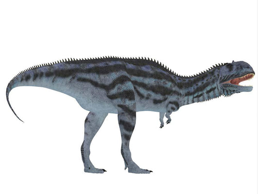 Majungasaurus Dinosaur White Wall Decal Design 1
