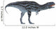 Majungasaurus Dinosaur White Wall Decal Design 1