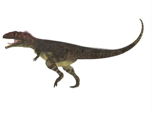 Mapusaurus Dinosaur White Wall Decal Design 1