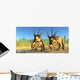 Flock Pterodactylus Fly above Wall Decal