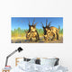 Flock Pterodactylus Fly above Wall Decal