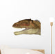 Carcharodontosaurus Dinosaur Head Wall Decal