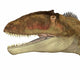 Carcharodontosaurus Dinosaur Head Wall Decal