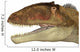 Carcharodontosaurus Dinosaur Head Wall Decal