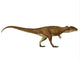 Carcharodontosaurus Dinosaur Side Wall Decal