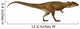 Carcharodontosaurus Dinosaur Side Wall Decal