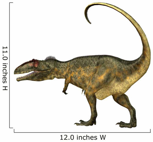 Giganotosaurus Dinosaur Side Wall Decal Design 2