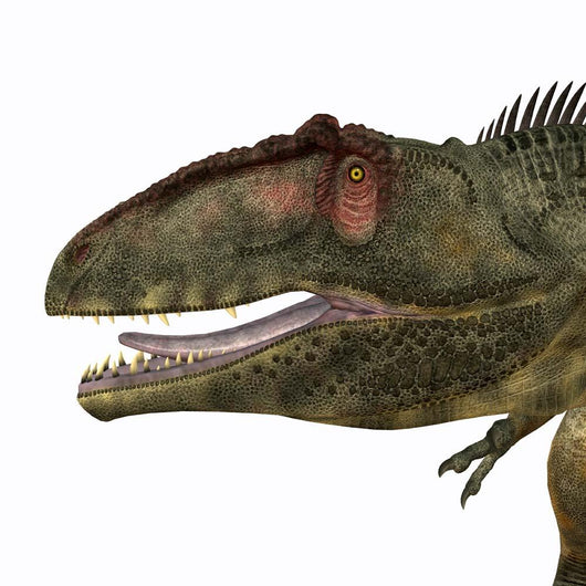 Giganotosaurus Dinosaur Head Wall Decal
