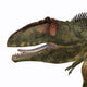 Giganotosaurus Dinosaur Head Wall Decal