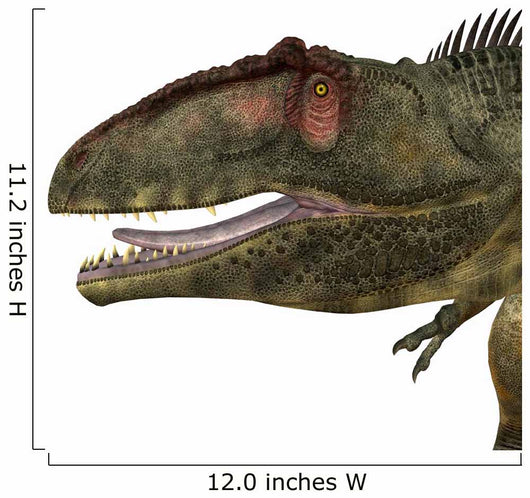 Giganotosaurus Dinosaur Head Wall Decal