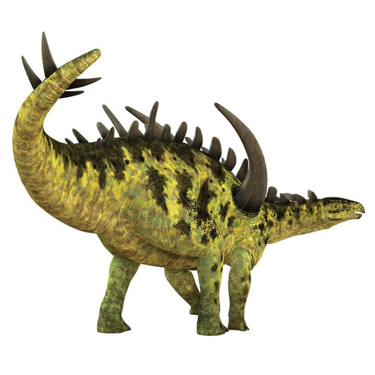 Gigantspinosaurus Dinosaur White Wall Decal Design 4