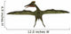 Pterodactylus Flying Reptile Wall Decal Design 3