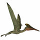 Pterodactylus Flying Reptile Wall Decal Design 2