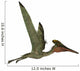 Pterodactylus Flying Reptile Wall Decal Design 2