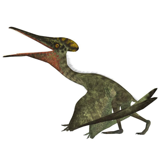 Pterodactylus Flying Reptile Wall Decal Design 1