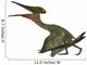 Pterodactylus Flying Reptile Wall Decal Design 1