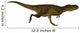 Rugops Dinosaur Side Wall Decal