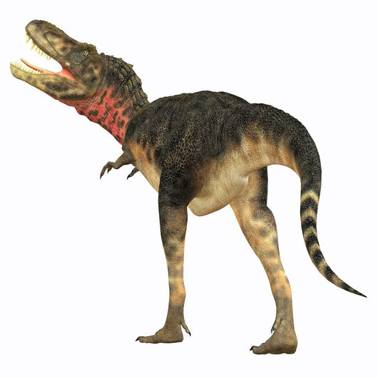 Tarbosaurus Dinosaur Rear Wall Decal