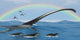 Elasmosaurus Tries to Capture Wall Decal