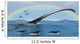 Elasmosaurus Tries to Capture Wall Decal
