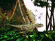 Yangchuanosaurus Hunts through Jungle Wall Decal