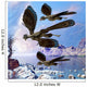 Archaeopteryx Birds Fly near Wall Decal