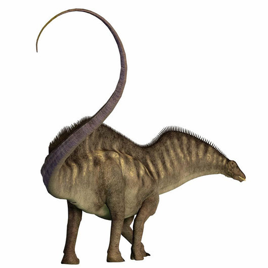 Amargasaurus Dinosaur Wall Decal Design 2