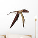 Dimorphodon Pterosaur White Wall Decal