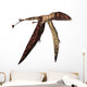 Dimorphodon Pterosaur White Wall Decal