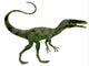 Juravenator Dinosaur Wall Decal Design 2