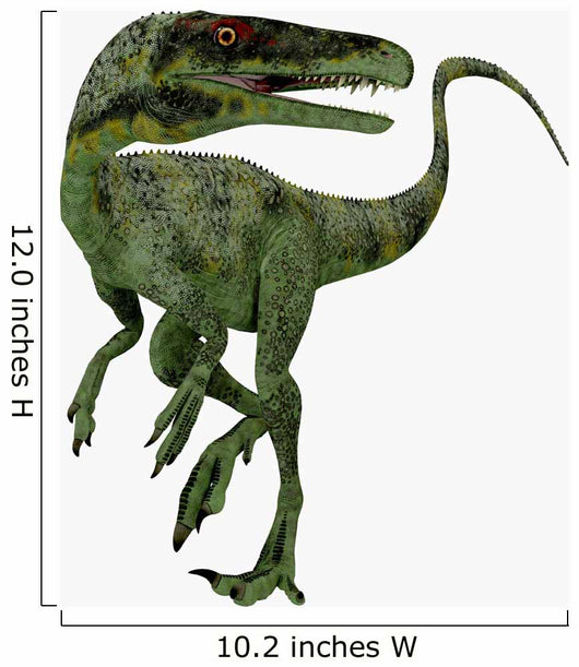 Juravenator Dinosaur Wall Decal Design 1