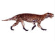Lycaenops from Permian Period Wall Decal