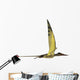 Rhamphorhynchus Pterosaur Wall Decal Design 3