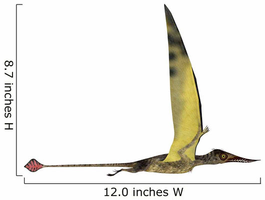 Rhamphorhynchus Pterosaur Wall Decal Design 3