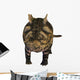 Crichtonsaurus Armored Dinosaur Wall Decal Design 2