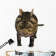 Crichtonsaurus Armored Dinosaur Wall Decal Design 2