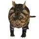 Crichtonsaurus Armored Dinosaur Wall Decal Design 2