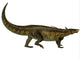 Desmatosuchus Armored Dinosaur Wall Decal Design 1