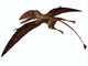 Dimorphodon Flying Pterosaur Wall Decal Design 2