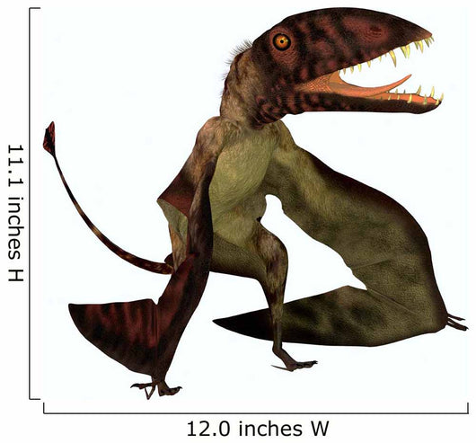 Dimorphodon Flying Pterosaur Wall Decal Design 1