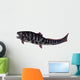 Dunkleosteus Prehistoric Fish from Wall Decal Design 3