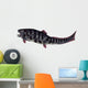 Dunkleosteus Prehistoric Fish from Wall Decal Design 3