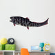Dunkleosteus Prehistoric Fish from Wall Decal Design 3