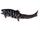 Dunkleosteus Prehistoric Fish from Wall Decal Design 3