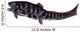Dunkleosteus Prehistoric Fish from Wall Decal Design 3