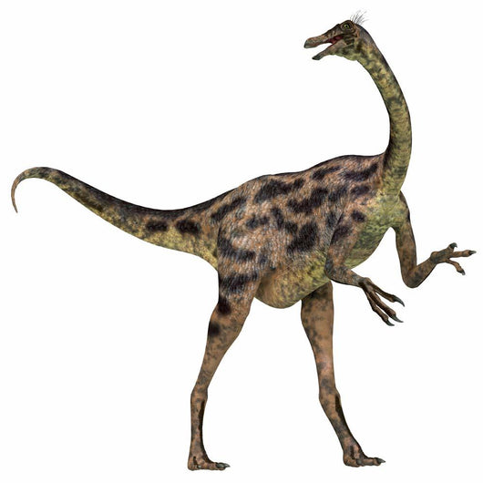 Gallimimus Dinosaur Wall Decal Design 3